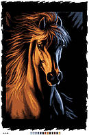 Картинка для вишивки нитками на канві (А2-16-009)