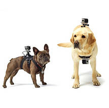 КРЕПЛЕННЯ ДЛЯ GOPRO НА СОБАКУ (FETCH DOG HARNESS) PULUZ, фото 4