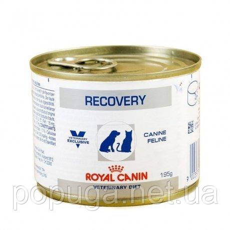 Royal Canin RECOVERY лікувальний вологий корм для собак і кішок, 195 г