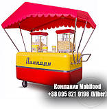 Візок вітрина для продажу морозива "Рітро"., фото 4