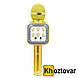 Караоке-мікрофон з чохлом Wster WS-1818 Bluetooth, фото 3