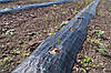 Агротканина AGROJUTEX p-100 чорна JUTA 2.1х100 Чехія, фото 3