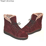 Замшеві черевики ADAMS на плоскій підошві, фото 3