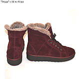 Замшеві черевики ADAMS на плоскій підошві, фото 4