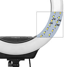 Кільцева світлодіодна лампа AFI R216 зі стійкою, кільцевої LED світло 3000-6500К, фото 3