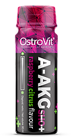 OstroVit A-AKG 5000mg Shot 24x80 ml