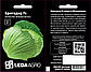 Насіння Капусти білокачанної Бригадир F1, для квашення, 20 шт (Leda Agro), фото 2