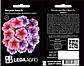 Петунія Нана F1, багатоквіткова, вишукана суміш 10 шт (Leda Agro), фото 2