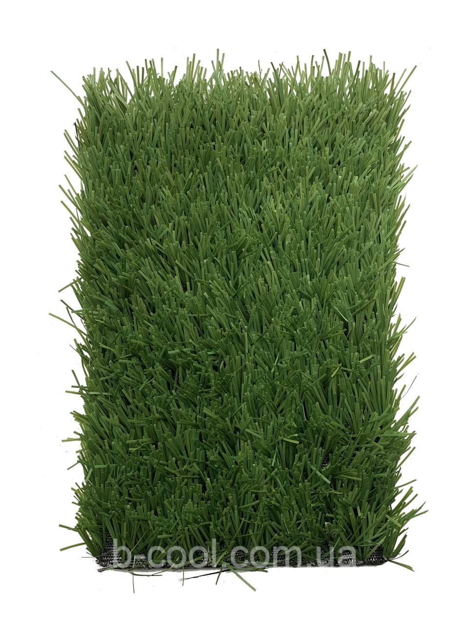 Stemgrass 40-17