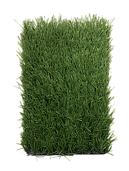 Stemgrass 40-17