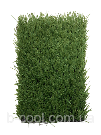 Stemgrass 40-17, фото 1