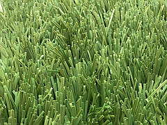 Stemgrass 40-17, фото 5