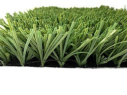Stemgrass 40-17, фото 4