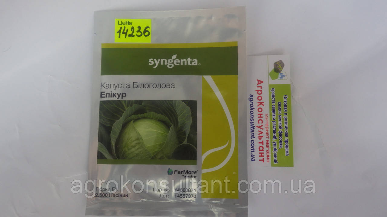 Насіння капусти Епікур F1 (Syngenta), 2 500 насінин — пізня (125-135 днів), білокачанна