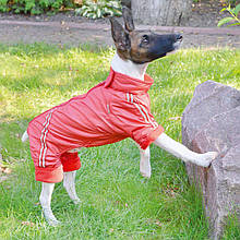 Одяг для собак комбінезон Фліс №1 Лорі (довжина 29 см - об'єм 46 см)