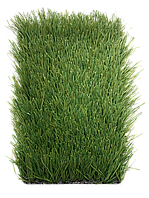 Stemgrass 60-14