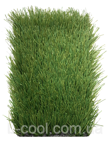 Stemgrass 60-14, фото 1
