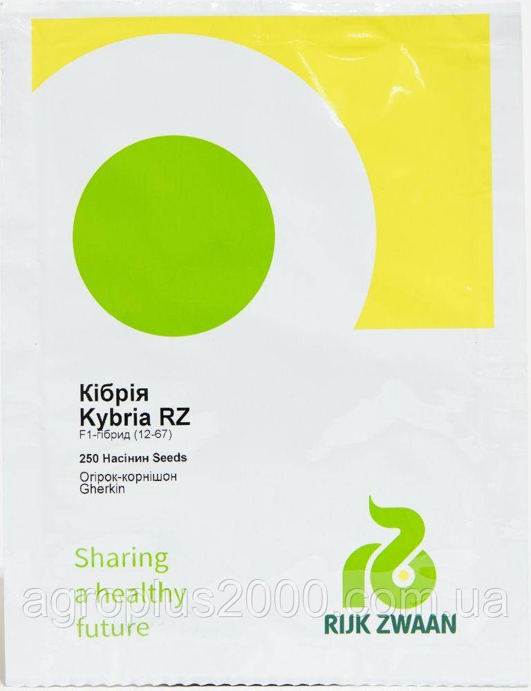 Насіння Огірок самозапильний Кібрія F1, 250 насінин Rijk Zwaan