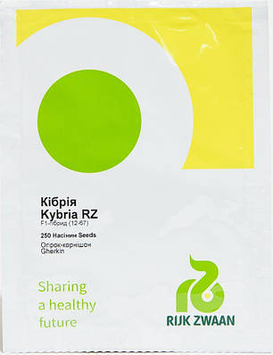 Насіння Огірок самозапильний Кібрія F1, 250 насінин Rijk Zwaan, фото 1