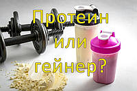 Що вибрати: протеїни або гейнер?