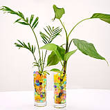 Гідрогель для комантних квітів великий 20 шт. уп, фото 5