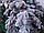 Штучна лита ялинка Коваївська зелена Засніжена, фото 9