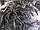 Штучна лита ялинка Коваївська зелена Засніжена, фото 10