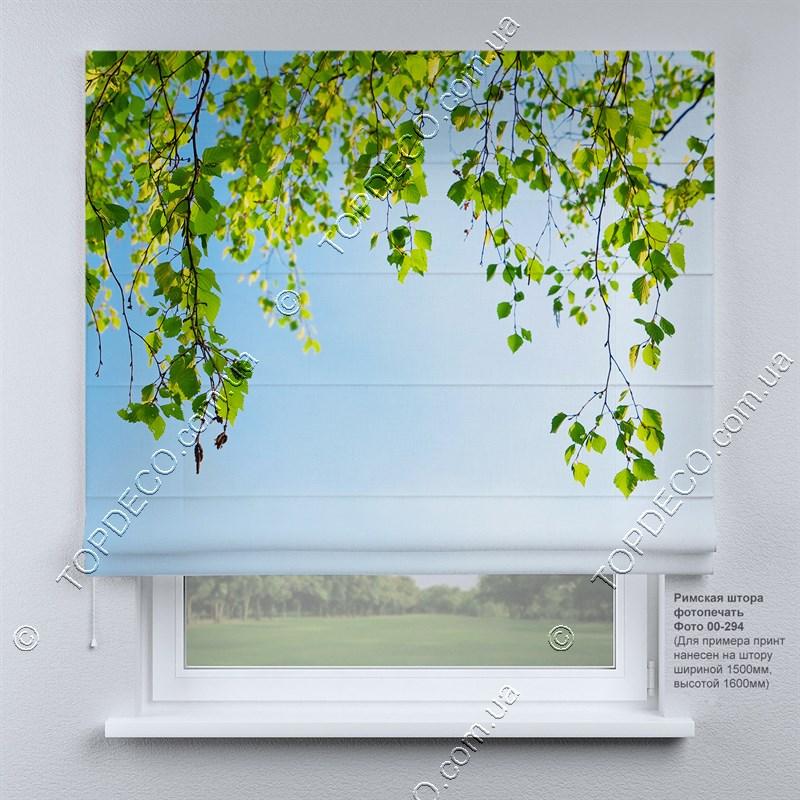Римська фото штора Березові гілочки. Безкоштовна доставка. Інд.розмір. Гарантія. Арт. 00-294, фото 1