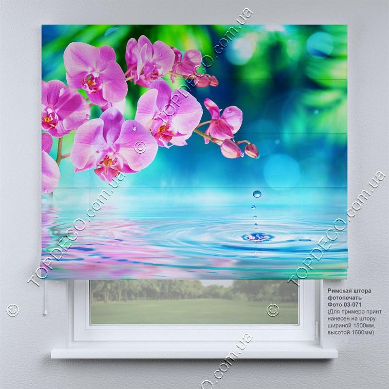 Римська фото штора Орхідея. Безкоштовна доставка. Інд.розмір. Гарантія. Арт. 03-071, фото 1