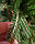 Штучна лита ялинка Альпійська зелена, фото 4