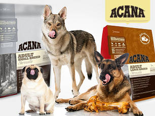 Acana (Акана,Канада) корм для собак та цуценят супер-преміум класу