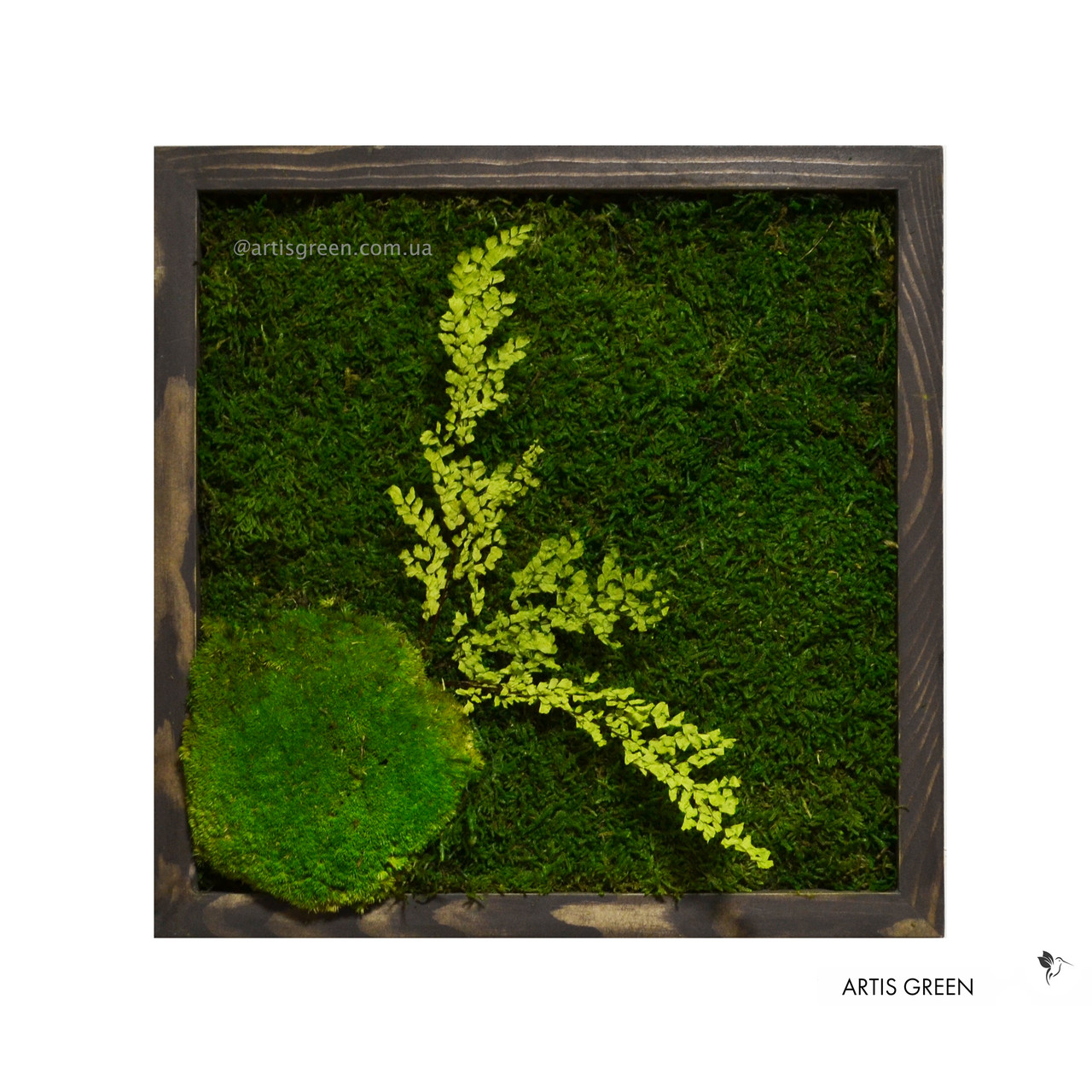 Картина зі стабілізованого моху і рослин "Forest colors" 3, P29