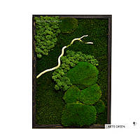 Картина зі стабілізованого моху і рослин "Forest colors" 4, P28