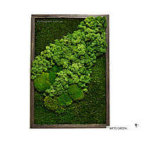 Картина из стабилизированного мха и растений "Forest colors" 2, P27