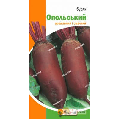 Буряк Опольська їдальня , 3 гр, фото 2