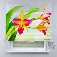 Римская фото штора Орхидея. Бесплатная доставка. Инд.размер. Гарантия. Арт. 03-136