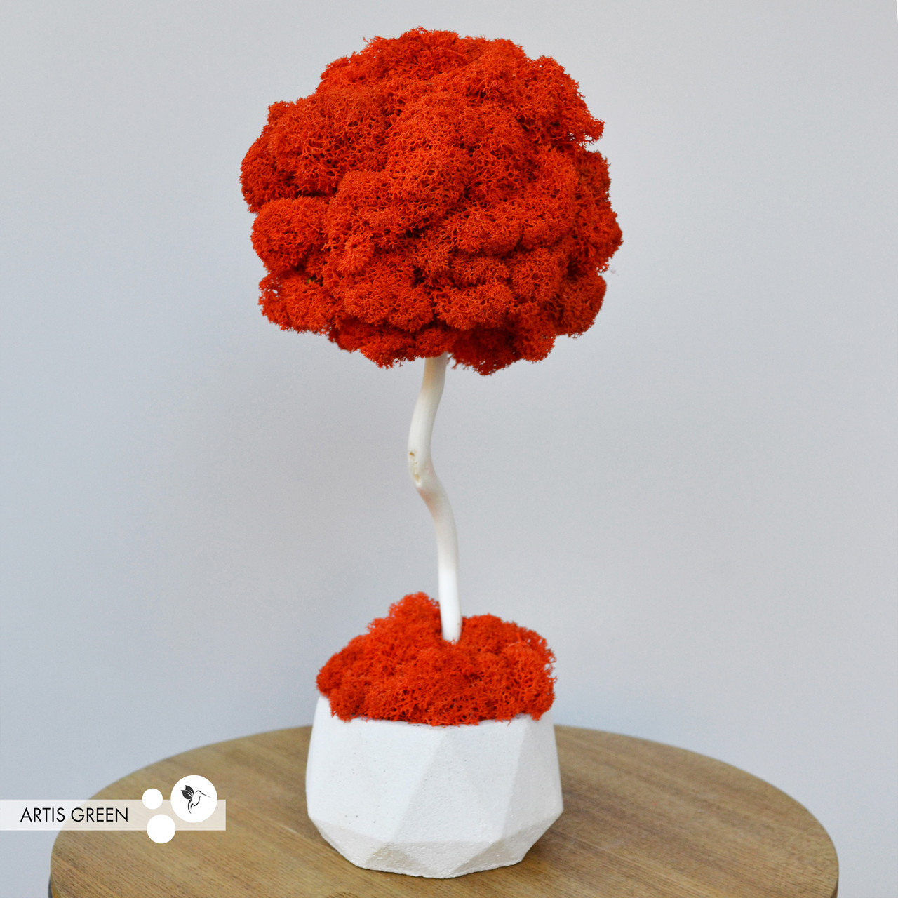 Декоративне дерево зі справжнім мохом Fresh Orange, топіарій 30 cm, T29, фото 1