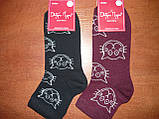 Жіночі шкарпетки "Добра Пара". Котики. р. 23-25 (36- 39). Бавовна., фото 5