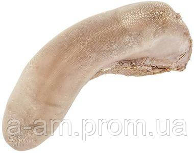 Язик яловичий