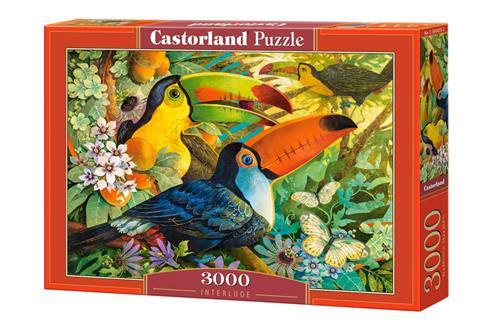 Пазли 3000 елементів "Інтерлюдія", C~300433 | Castorland