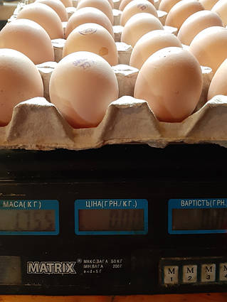 Яйце бройлера Польща марковане