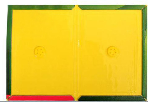 Мишоловка липка TG-21, 12 х 17 см, фото 1