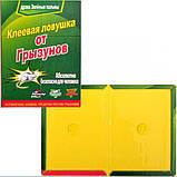 Мишоловка липка TG-21, 12 х 17 см, фото 2