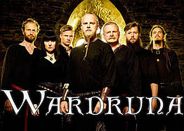 Плакат Wardruna