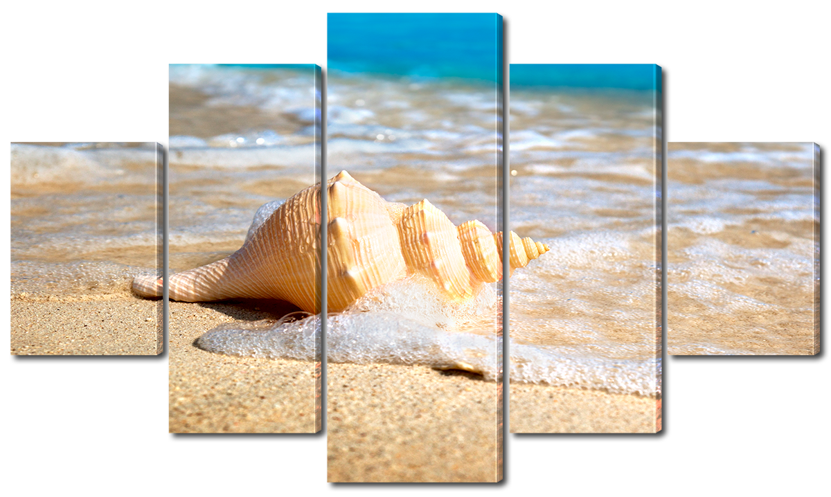 Модульна картина Interno Екошкіра Мушля на пляжі 185х106 см (A6713XXL)
