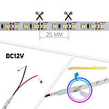 Світлодіодна стрічка 12v 5 м 2835-120 IP20 синя, фото 4