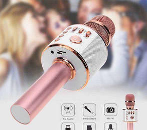 Мікрофон-Караоке Hebdheld KTV-L18 в коробці, фото 1