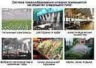 Системи туманоутворення на 6 форсунок, фото 8