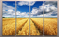Модульная картина пейзаж поле пшеницы небо Украина 120 х 60 см