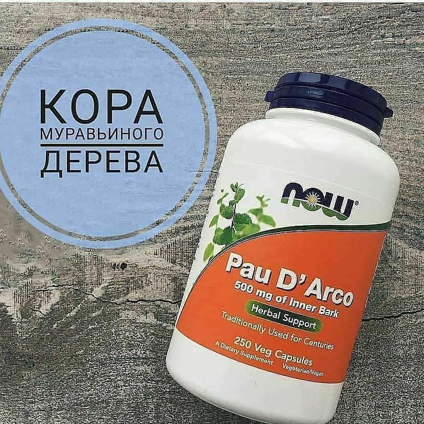 Кора Мурашиного дерева - По д'арко для імунітету, Now Foods, Pau D' Arco, 500 mg, 250 капсул, офіційний